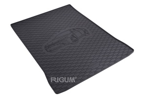 BMW G30 Set Covorase + tavita portbagaj auto BMW Seria 5 G30, caroserie Sedan, fabricatie 02.2017 - prezent accesorii pentru autoturismul tau - masina v1923