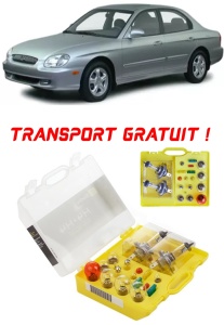 Kit trusa Set becuri H4 compatibila cu Hyundai Sonata din 1996 – 2015 , bec far, semnalizare , pozitie, iluminare numar, frana, plafoniera, stop frana