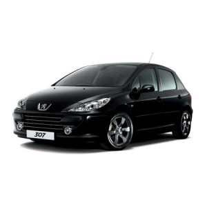 Peugeot 307 Hatchback din 03.2001 - 04.2007 *1, Tavita Pentru Portbagaj Lux Premium Dedicata, accesorii pentru autoturismul tau - masina v190159