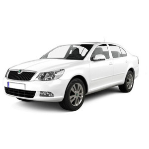 Skoda Octavia II Din 2009 - 04.2013, Hatchback, Facelift , Set Covorase Auto Tip Tavita Premium 3D, din cauciuc accesorii pentru autoturismul tau - masina v162132