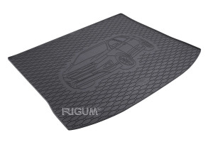Ford Edge II Suv din 05.2016 - Prezent *3, Tavita Pentru Portbagaj Lux Premium Dedicata, accesorii pentru autoturismul tau - masina v194998