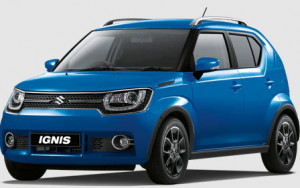 Suzuki Ignis I Hatchback din 2001 - 2008 *1, Tavita Pentru Portbagaj Lux Premium Dedicata, accesorii pentru autoturismul tau - masina v197433