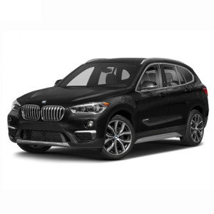 Bmw X1 F48 Phev, Suv, Din 03.2020 - Prezent , Set Covorase Auto Tip Tavita Premium 3D, din cauciuc accesorii pentru autoturismul tau - masina v171257