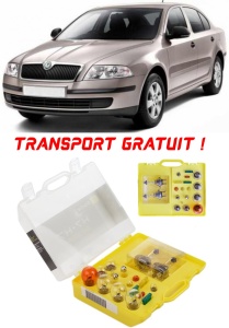 Kit trusa Set becuri H7 compatibila cu Skoda Octavia I din 1996 – 2010 , bec far, semnalizare , pozitie, iluminare numar, frana, plafoniera, stop frana