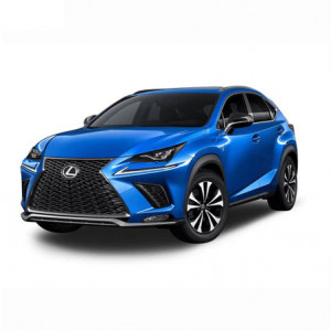 Lexus Nx Din 02.2015 - Prezent, Suv , Set Covorase Auto Tip Tavita Premium 3D, din cauciuc accesorii pentru autoturismul tau - masina v168064