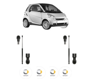 Set 2 amortizoare portbagaj haion SMART FORTWO Coupe (451) din 2007-2013, 2 bucati, MAGNUM TECHNOLOGY, 4 stickere auto SMART v5821