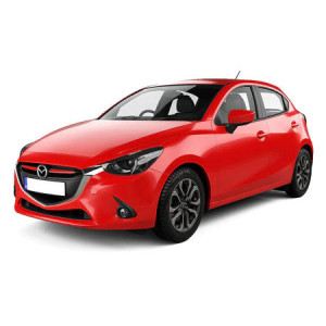 Mazda Demio Van din 1998 - 2002 *1, Tavita Pentru Portbagaj Lux Premium Dedicata, accesorii pentru autoturismul tau - masina v194357