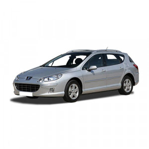 Set 2 amortizoare portbagaj Magnum Technology pentru Peugeot 407 SW (6E_, 6D_), an fabricatie 2004 - 12.2010 Magnum accesorii pentru autoturismul tau - masina v103850