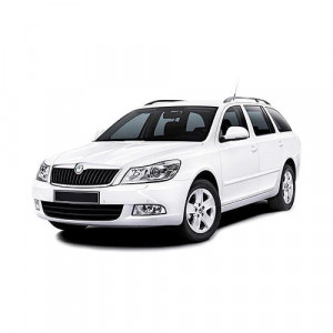 Skoda Superb II din 11.2009 - 08.2015 Combi *1 , Tavita Pentru Portbagaj Lux Premium Dedicata, accesorii pentru autoturismul tau - masina v178311