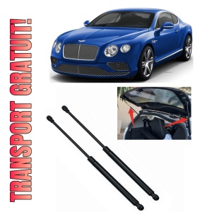 BENTLEY CONTINENTAL Coupe (3W_, 393) - Set 2 amortizoare pentru portbagaj / haion compatibil cu BENTLEY CONTINENTAL Coupe (3W_, 393) fabricat 2014 – 2018