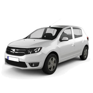 Dacia Sandero I Stepway Hatchback din 06.2008 - 11.2012 *1, Tavita Pentru Portbagaj Lux Premium Dedicata, accesorii pentru autoturismul tau - masina v188617