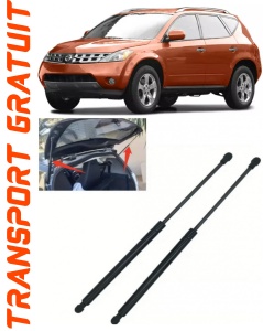 Nissan Murano I Set 2 amortizoare pentru portbagaj / haion Krosno compatibil cu Nissan Murano I SUV fabricat intre 2003-2008 accesorii pentru autoturismul tau - masina v87155
