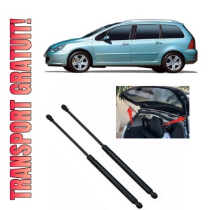 PEUGEOT 307 Break (3E) - Set 2 amortizoare pentru portbagaj / haion compatibil cu PEUGEOT 307 Break (3E) fabricat 2002 – 2009