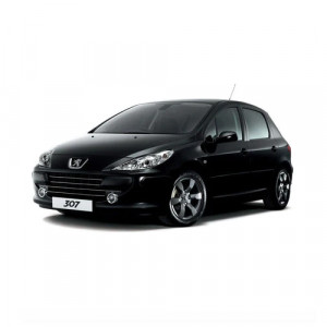 Set 2 amortizoare portbagaj Magnum Technology pentru Peugeot 307 (3A/C), an fabricatie 2000 - 2012 Magnum accesorii pentru autoturismul tau - masina v103808
