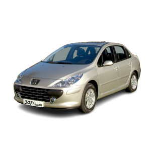Set 2 amortizoare portbagaj Magnum Technology pentru Peugeot 307 Saloon, an fabricatie 2006 - 2012 Magnum accesorii pentru autoturismul tau - masina v104173