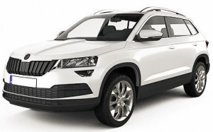 Skoda Karoq din 2017 - Prezent Suv Portbagaj Inferior, Tavita Pentru Portbagaj Lux Premium Dedicata, Roata Rezerva Ingusta *3 accesorii pentru autoturismul tau - masina v178602