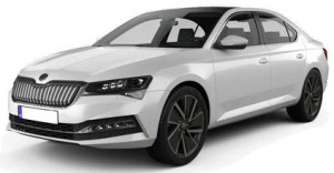 Skoda Superb II din 06.2008 - 04.2015 Sedan *1 , Tavita Pentru Portbagaj Lux Premium Dedicata, accesorii pentru autoturismul tau - masina v181425