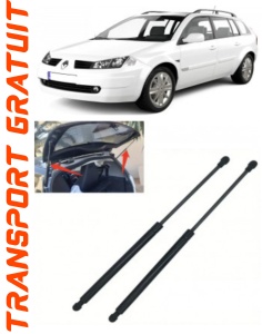 Set 2 amortizoare portbagaj Magnum Technology pentru Renault Megane II (LM0), an fabricatie08.2003 - 05.2009 Magnum accesorii pentru autoturismul tau - masina v104090