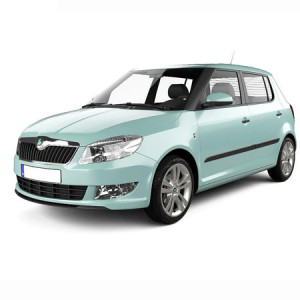 Skoda Fabia II din 03.2007 - 10.2014 Hatchback *2 , Tavita Pentru Portbagaj Lux Premium Dedicata, accesorii pentru autoturismul tau - masina v176855