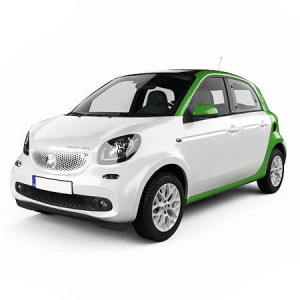 Smart Forfour II Din 2014 - Prezent, Hatchback , Set Covorase Auto Tip Tavita Premium 3D, din cauciuc accesorii pentru autoturismul tau - masina v165948
