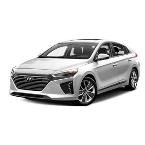 Hyundai Ioniq Elektro Hatchback din 10.2016 - 06.2022, Tavita Pentru Portbagaj Lux Premium Dedicata, Portbagaj Inferior *1 accesorii pentru autoturismul tau - masina v200958