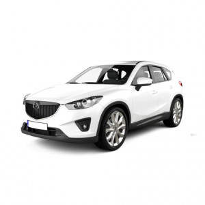 Mazda 2 II Din 09.2007 - 01.2015, Hatchback , Set Covorase Auto Tip Tavita Premium 3D, din cauciuc accesorii pentru autoturismul tau - masina v168244