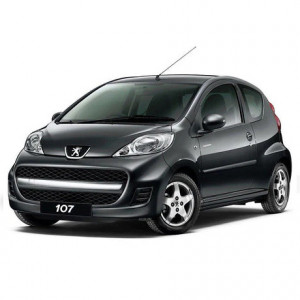 Peugeot 107 Din 2005 - 06.2014, Hatchback , Set Covorase Auto Tip Tavita Premium 3D, din cauciuc accesorii pentru autoturismul tau - masina v168197