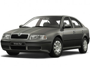 Skoda Octavia I fabricat din 1998 - 2004, Hatchback, set covorase auto dedicate, din cauciuc 100% Premium accesorii pentru autoturismul tau - masina v151926