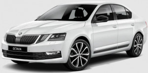 Skoda Octavia II din 2004 - 04.2013 Combi Portbagaj Superior *2, Tavita Pentru Portbagaj Lux Premium Dedicata, accesorii pentru autoturismul tau - masina v178588