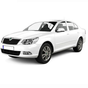 Skoda Octavia II din 03.2004 - 01.2013 Hatchback *2 , Tavita Pentru Portbagaj Lux Premium Dedicata, accesorii pentru autoturismul tau - masina v177554