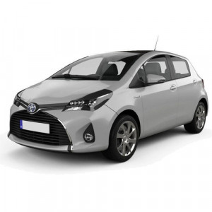 Toyota Yaris Verso Din 2000 - 2006, Van , Set Covorase Auto Tip Tavita Premium 3D, din cauciuc accesorii pentru autoturismul tau - masina v162766