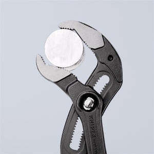 Cleste Cobra 3" - Img 4