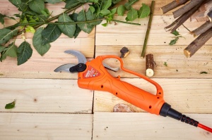 Foarfeca vie pomi cu acumulator extern garden master - Img 10