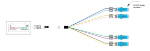 Patchcord OM4 Breakout, MPO-F la 8xLC/UPC, 1m - Img 5