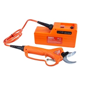 Foarfeca vie pomi cu acumulator extern garden master - Img 2