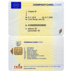 Card Tahograf pentru Instruire si dezvoltare solutii software - Img 3