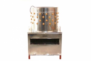 Deplumator pasari WQ-60 - Img 1