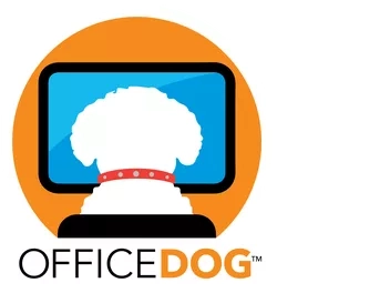 OFFICE DOG