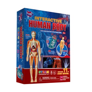 Joc educativ, BIG BANG SCIENCE, Corpul Uman, piese detașabile, multicolor, 3D