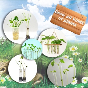Joc educativ, STEAM, Cresterea Plantelor, 19 activitati, lb. Engleza - Img 5