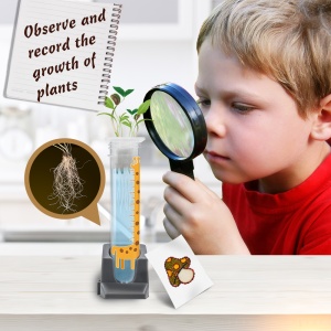 Joc educativ, STEAM, Cresterea Plantelor, 19 activitati, lb. Engleza - Img 2