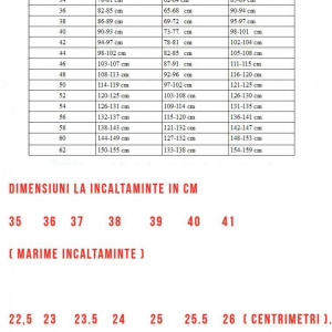 Sanda cu talpa ortopedica tip pana, barete bej cu floare maro - Img 7