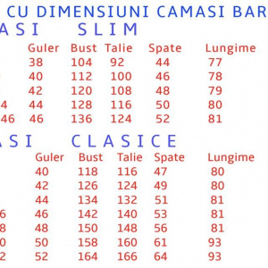 Camasa clasica de barbat cu maneca lunga, de culoare albastra - Img 2