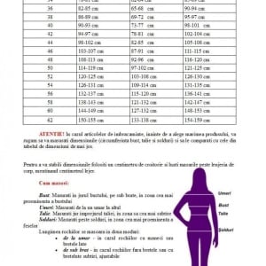 Rochie fashion de ocazie, crem cu aplicatii de broderie neagra - Img 3