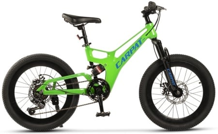 Bicicleta Copii MTB-FS Carpat 20" C20344A, Verde/Albastru