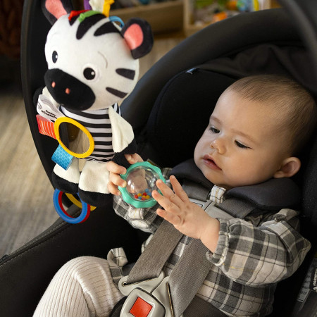 Baby Einstein - Jucarie din plus Zebra zambareata