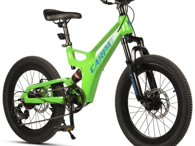 Bicicleta Copii MTB-FS Carpat 20" C20344A, Verde/Albastru - Img 3