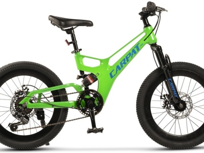 Bicicleta Copii MTB-FS Carpat 20" C20344A, Verde/Albastru - Img 1