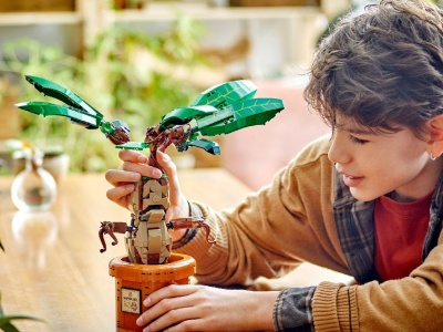 LEGO HARRY POTTER TM MATRAGUNA 76433 - Img 4