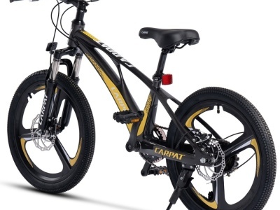 Bicicleta Copii MTB Carpat 20" C20343A, Roti Magneziu, Cadru Magneziu, Frane Disc, 7 Viteze, Gri/Galben - Img 3